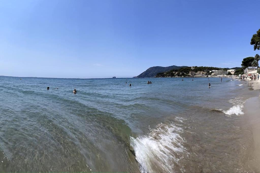 La Perle De * Toulon